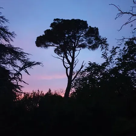 Hotel Domaine D'herminis - D'hotes