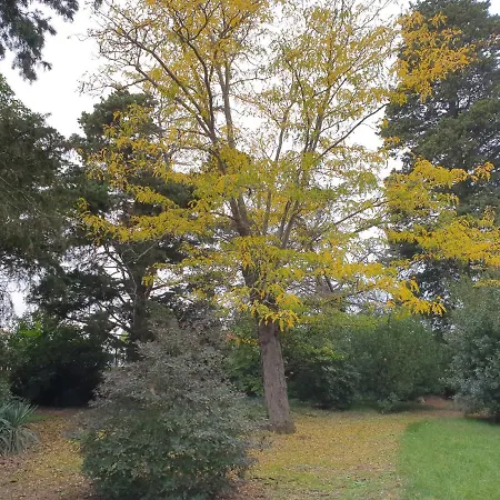 Domaine D'herminis - D'hotes *