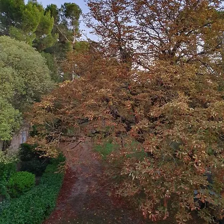 Hotel Domaine D'herminis - D'hotes Carcassonne